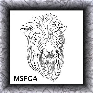 MSFGA